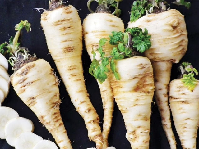 Parsnip Harris Model
